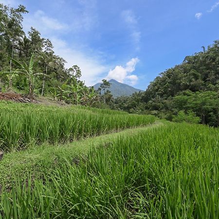 Keuma Villa & Resto Jatiluwih By The Lavana 외부 사진